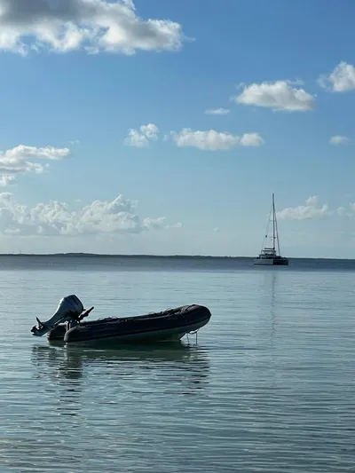 Stray Cats Yacht Photos Pics 
