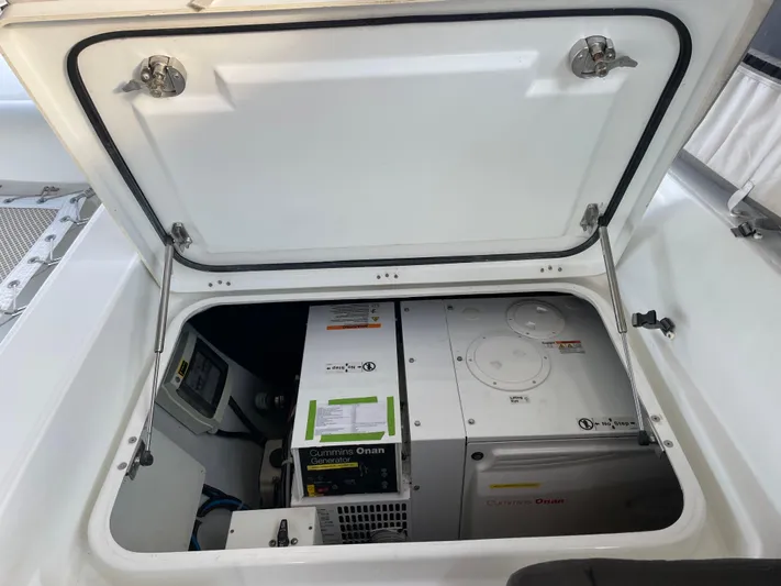 Stray Cats Yacht Photos Pics 