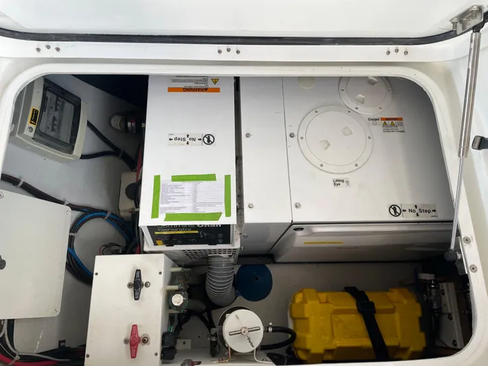 Stray Cats Yacht Photos Pics 