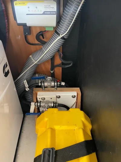 Stray Cats Yacht Photos Pics 