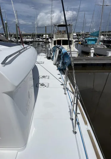 Stray Cats Yacht Photos Pics 