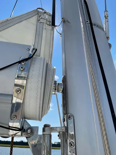 Stray Cats Yacht Photos Pics 