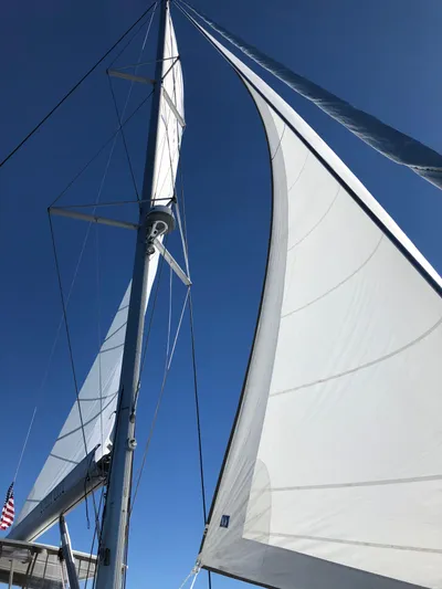 Stray Cats Yacht Photos Pics 