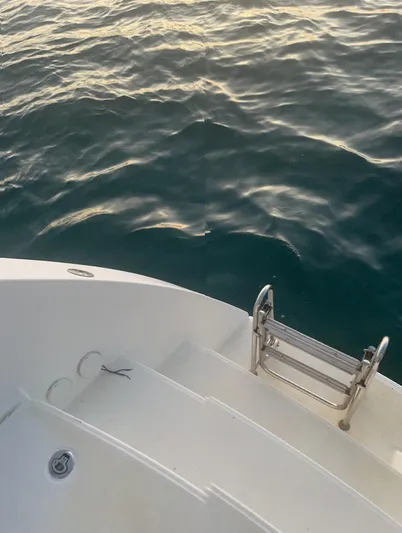 Stray Cats Yacht Photos Pics 