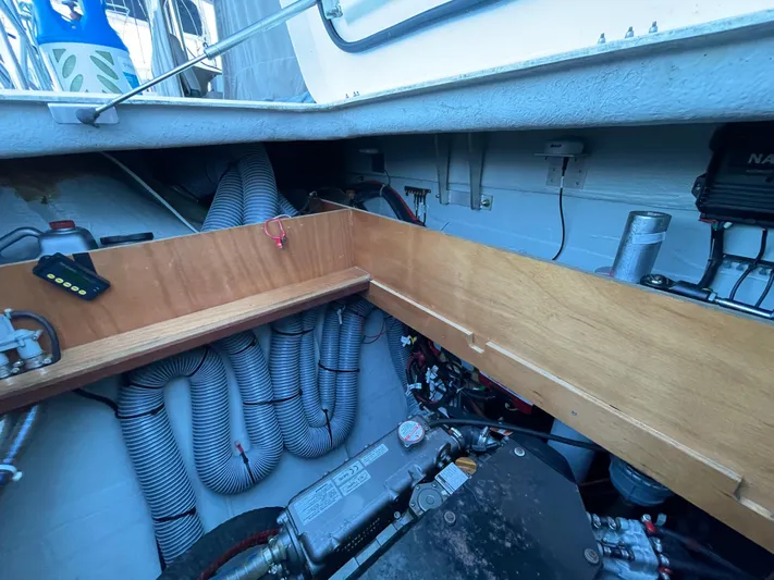 Stray Cats Yacht Photos Pics 