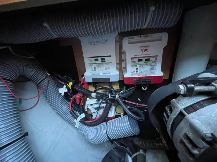 Stray Cats Yacht Photos Pics 