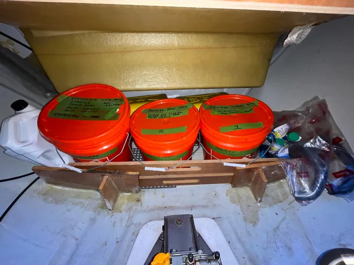 Stray Cats Yacht Photos Pics 