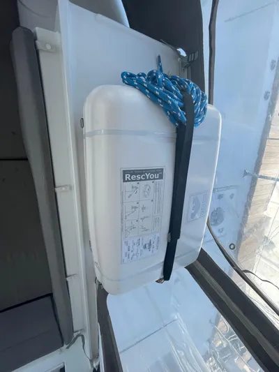 Stray Cats Yacht Photos Pics 