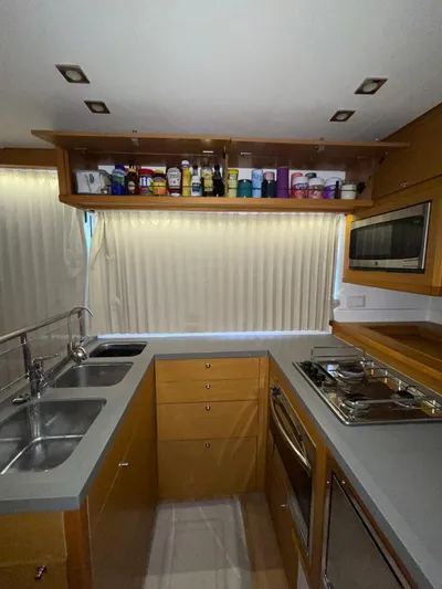 Stray Cats Yacht Photos Pics 