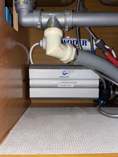 Stray Cats Yacht Photos Pics 