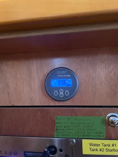 Stray Cats Yacht Photos Pics 