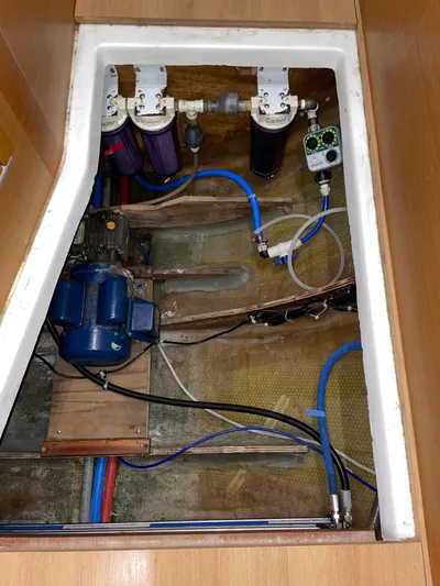 Stray Cats Yacht Photos Pics 