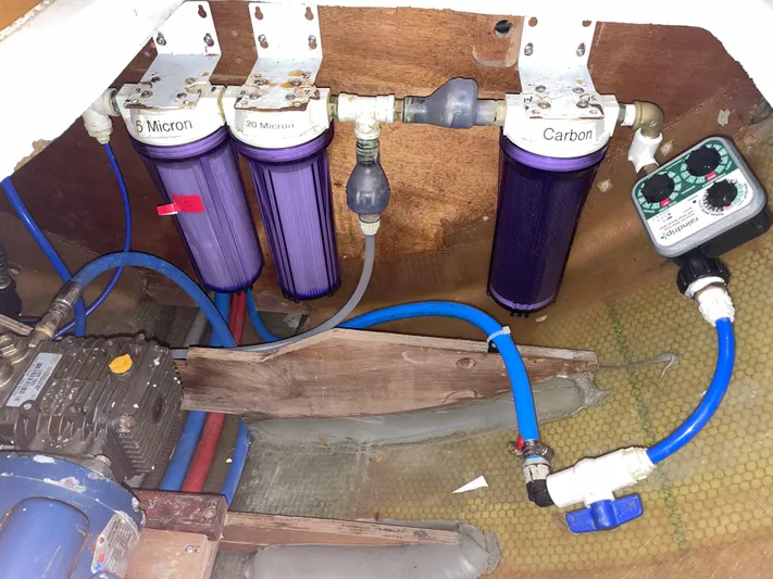 Stray Cats Yacht Photos Pics 