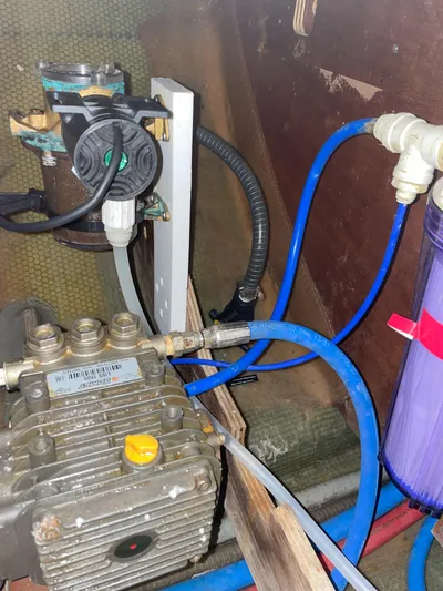 Stray Cats Yacht Photos Pics 