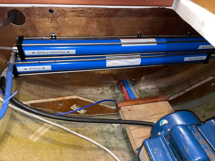 Stray Cats Yacht Photos Pics 