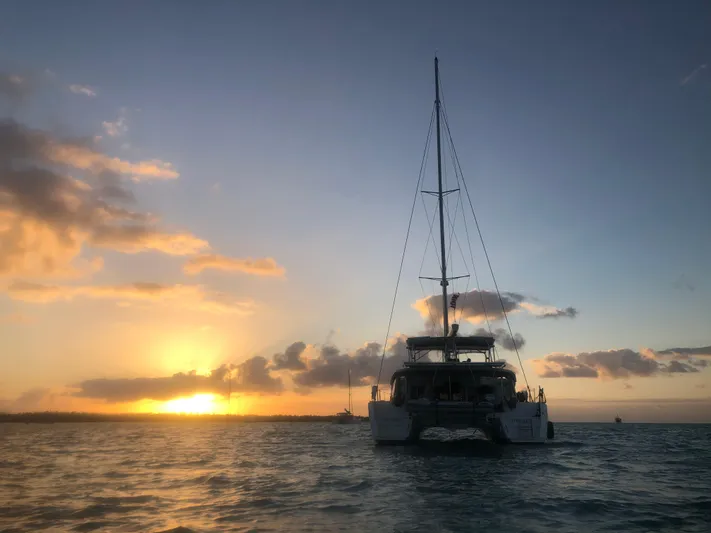 Stray Cats Yacht Photos Pics 