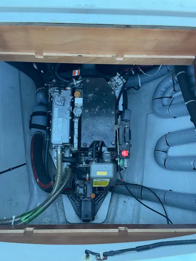 Stray Cats Yacht Photos Pics 