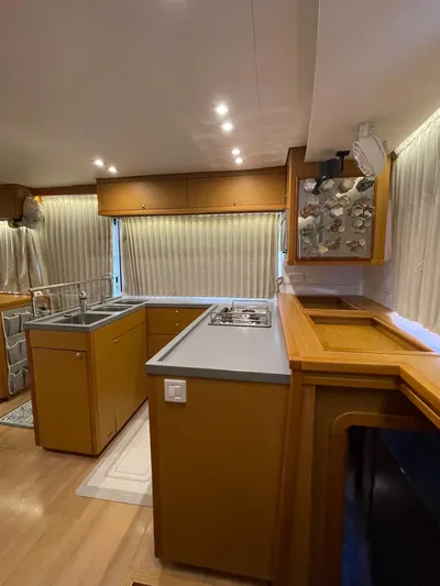 Stray Cats Yacht Photos Pics 