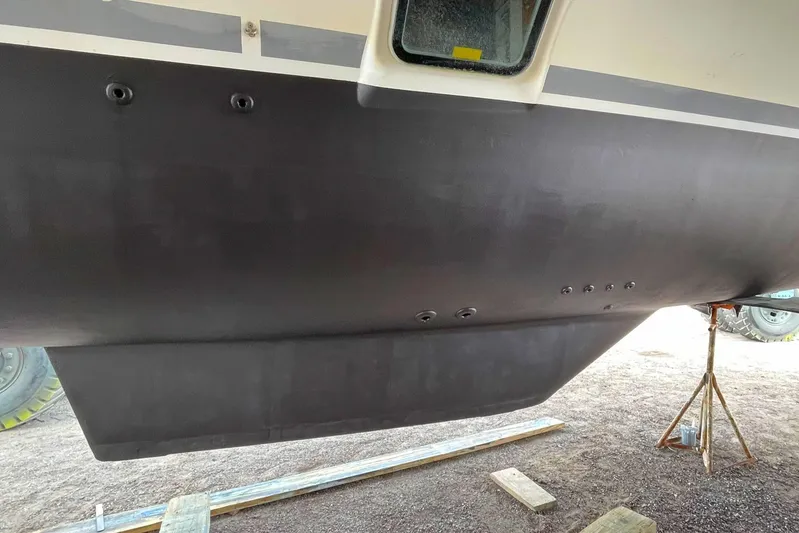 Stray Cats Yacht Photos Pics 