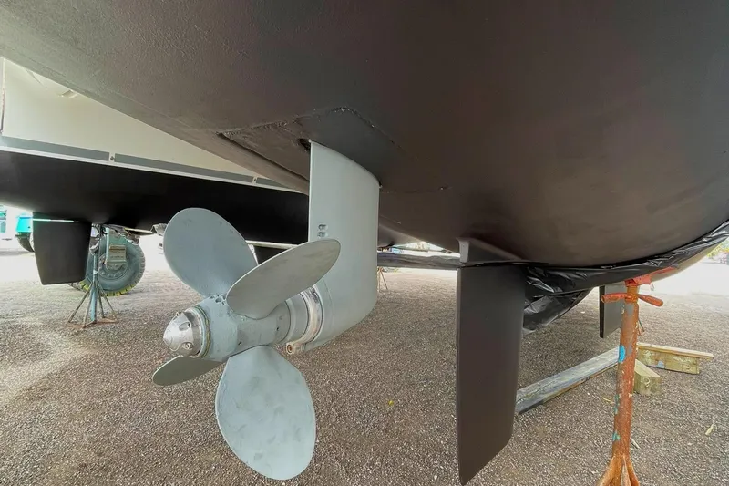 Stray Cats Yacht Photos Pics 