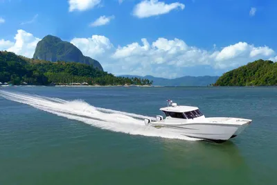 Custom SILVERCAT 34HT