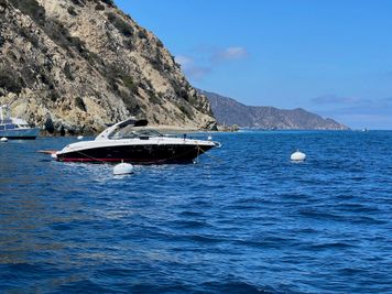 Sea Ray 290 Select EX