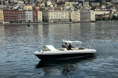 Novurania Chase 31
