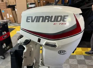 2019 Evinrude EVINRUDE 60 G1