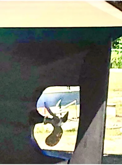 Holleyday Yacht Photos Pics 