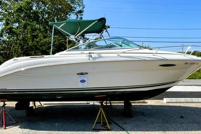 Sea Ray 225 Weekender