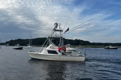 Bertram 31