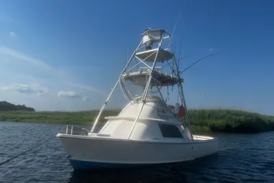 Bertram 31