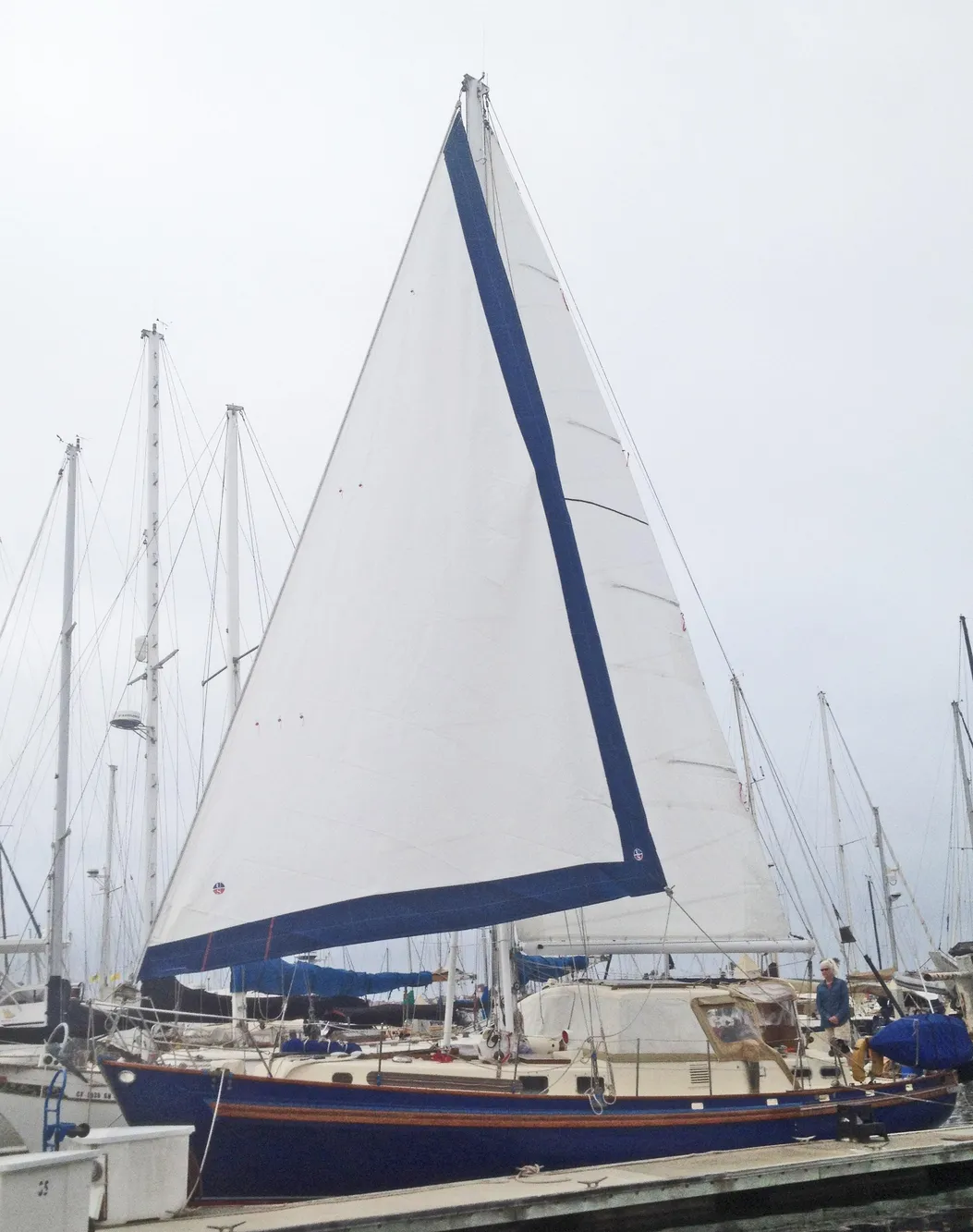 1975 Salar 40 sailboat docked at a marina, featuring a large white sail.