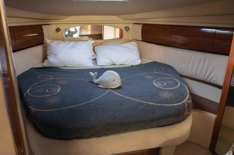  Yacht Photos Pics Cozy cabin interior of 2004 Sea Ray 360 Sundancer with plush bedding and decorative accents.