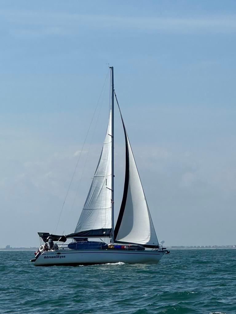 1987 Hunter Legend 37 Sloop for sale - YachtWorld 1987 Hunter Legend 37 Sloop for sale - YachtWorld