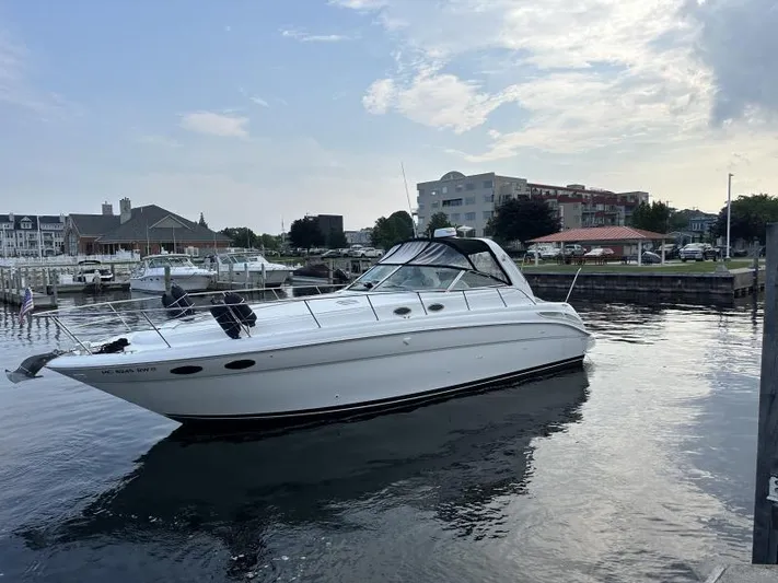 Snookie Yacht Photos Pics 