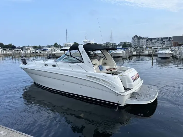 Snookie Yacht Photos Pics 