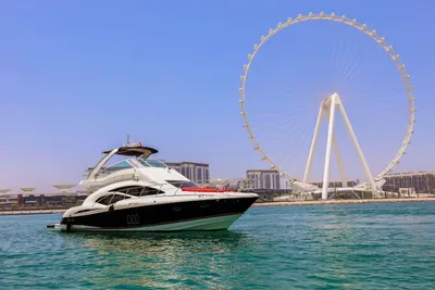 Cruisers Yachts Sport Sedan 447