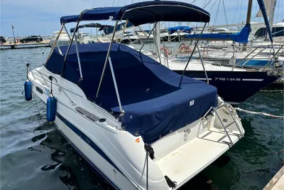 1995 Sea Ray Sea Ray 230 DA Sundancer
