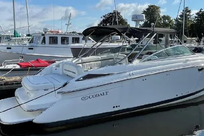 Cobalt 323