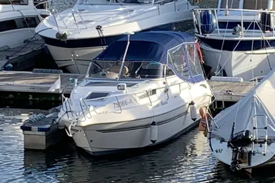 2010 Drago Fiesta 22