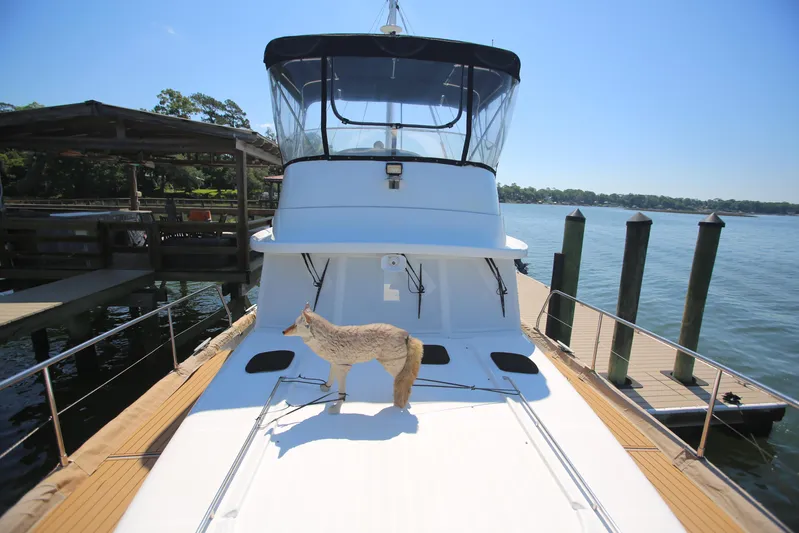 Gracie May Yacht Photos Pics 2007 Beneteau Swift Trawler 42 docked, featuring a decorative animal figure on deck.