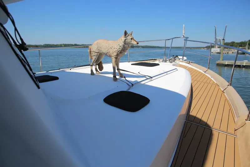 Gracie May Yacht Photos Pics 2007 Beneteau Swift Trawler 42 with a wolf statue on deck, docked by calm waters.