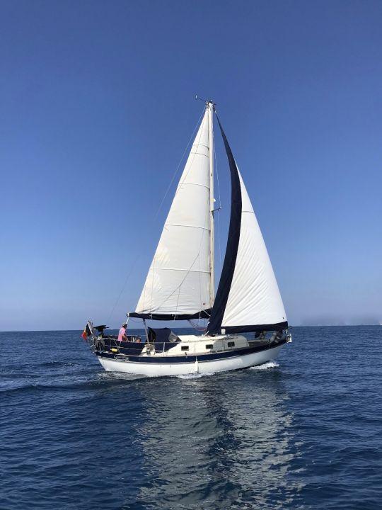 victoria 30 yachtsnet