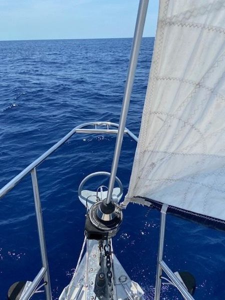 2011 Catalina 355