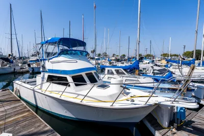 Blackman Billfisher 26