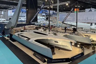 Dragonfly 36