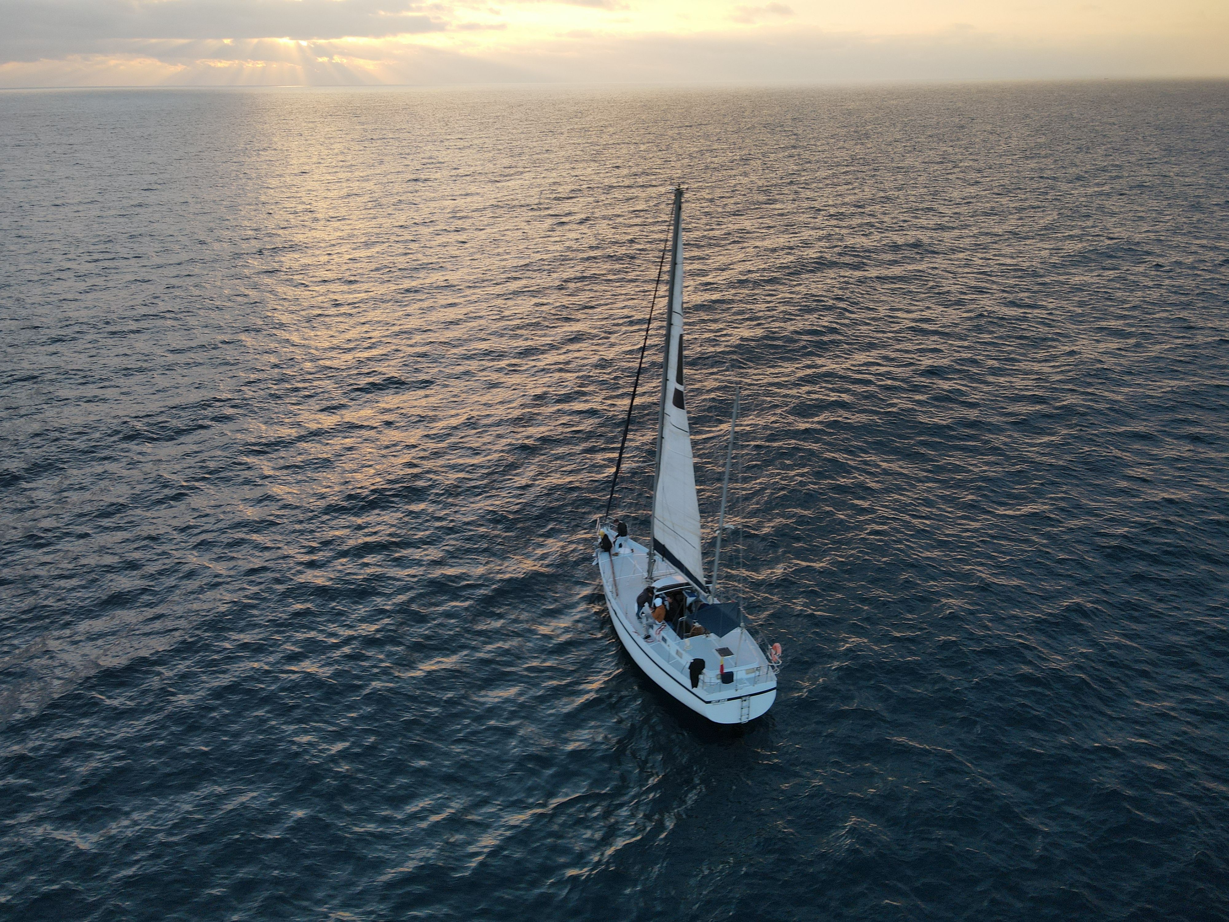 1980 Feltz Skorpion III