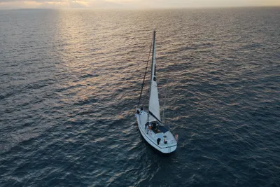 1980 Feltz Skorpion III