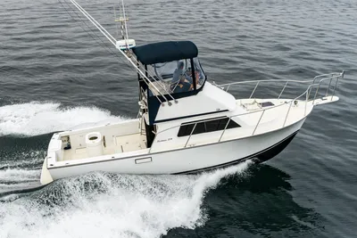 Blackman Flybridge 29